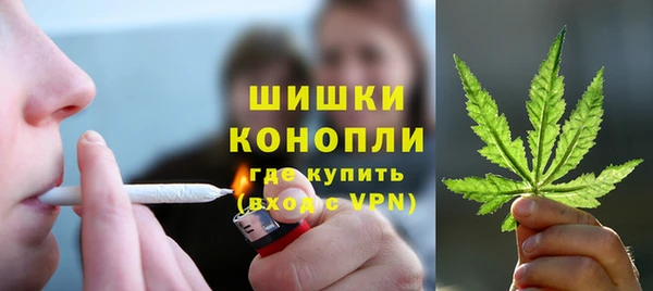 бошки Алексин